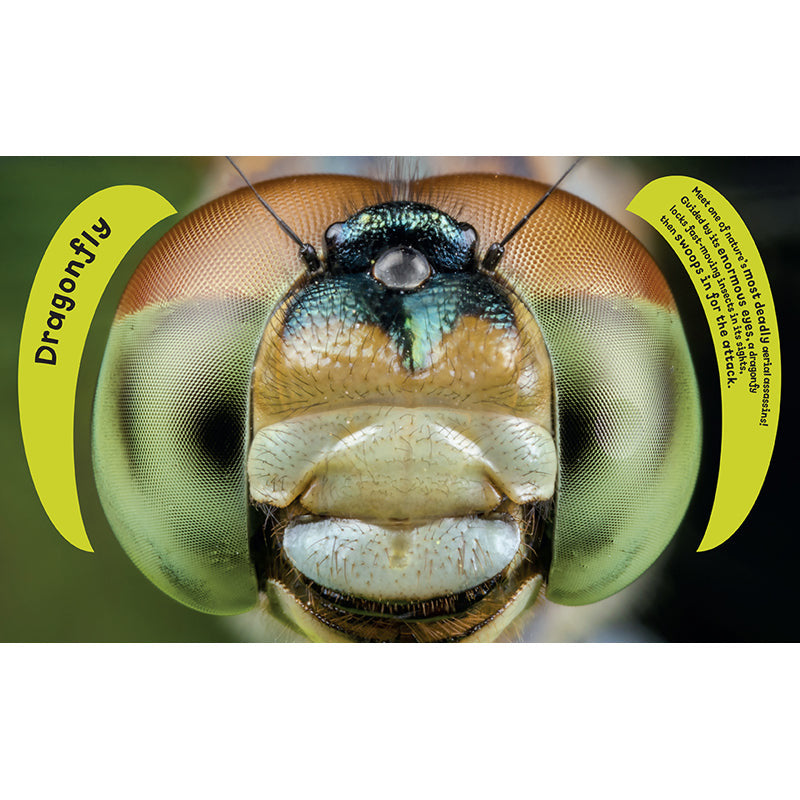 Eye View: Bugs inside page 1
