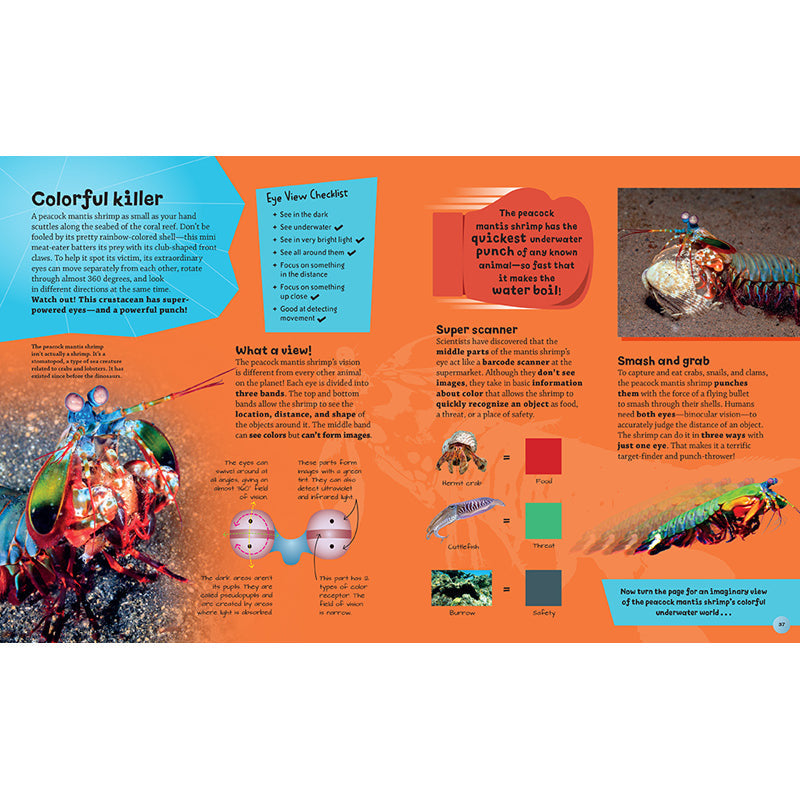 Eye View: Bugs inside page 4