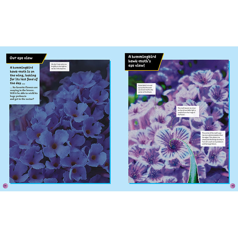 Eye View: Bugs inside page 9