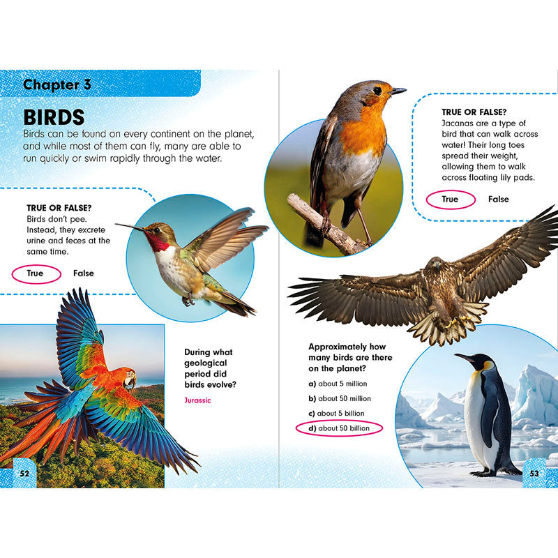 Undercover Answers: Animal Kingdom inside page 3
