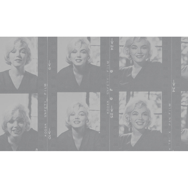 Marilyn: The Lost Photographs, the Last Interview inside page 1