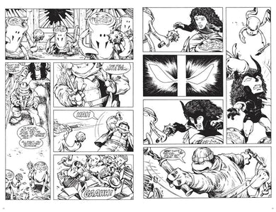 Teenage Mutant Ninja Turtles Compendium, Vol. 2 US - Hardback