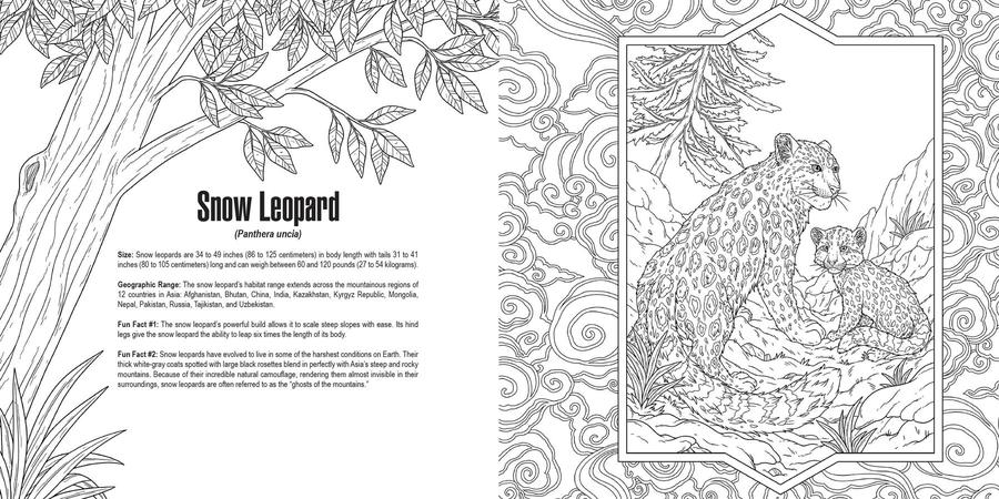 Cats: A Smithsonian Coloring Book US - Paperback / softback