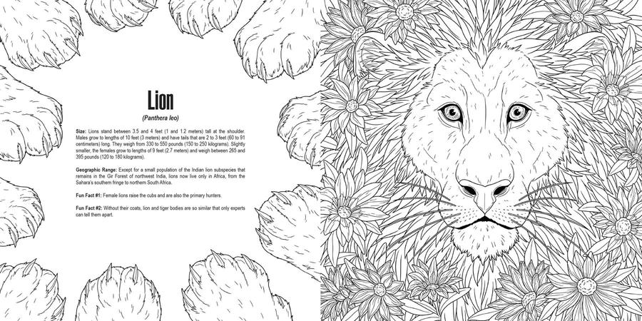 Cats: A Smithsonian Coloring Book US - Paperback / softback