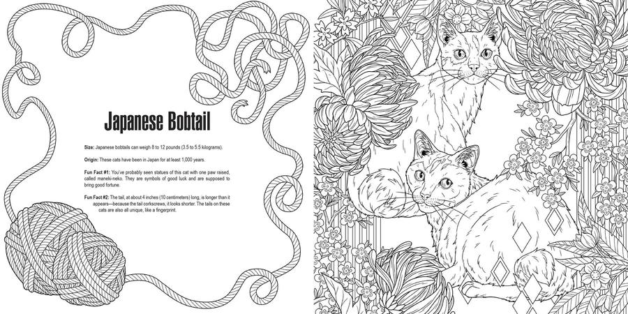 Cats: A Smithsonian Coloring Book US - Paperback / softback
