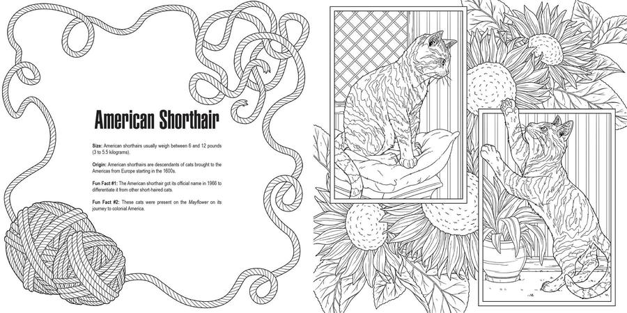Cats: A Smithsonian Coloring Book US - Paperback / softback