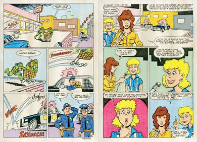 Teenage Mutant Ninja Turtles: Turtle Power Pack, Vol. 2 US - Paperback / softback