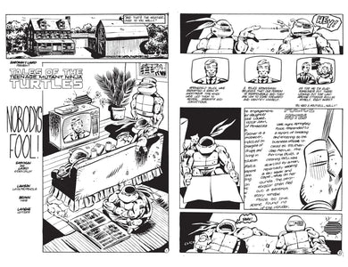 Best of Teenage Mutant Ninja Turtles Collection, Vol. 6 US - Paperback / softback