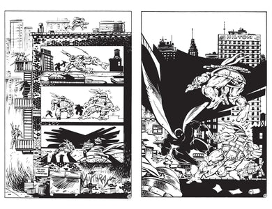 Best of Teenage Mutant Ninja Turtles Collection, Vol. 6 US - Paperback / softback