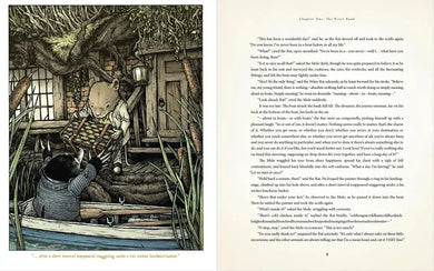 The Wind in the Willows: With Illustrations by David Petersen US - Paperback / softback