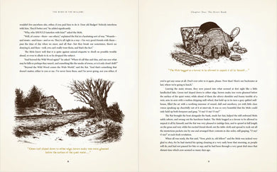 The Wind in the Willows: With Illustrations by David Petersen US - Paperback / softback