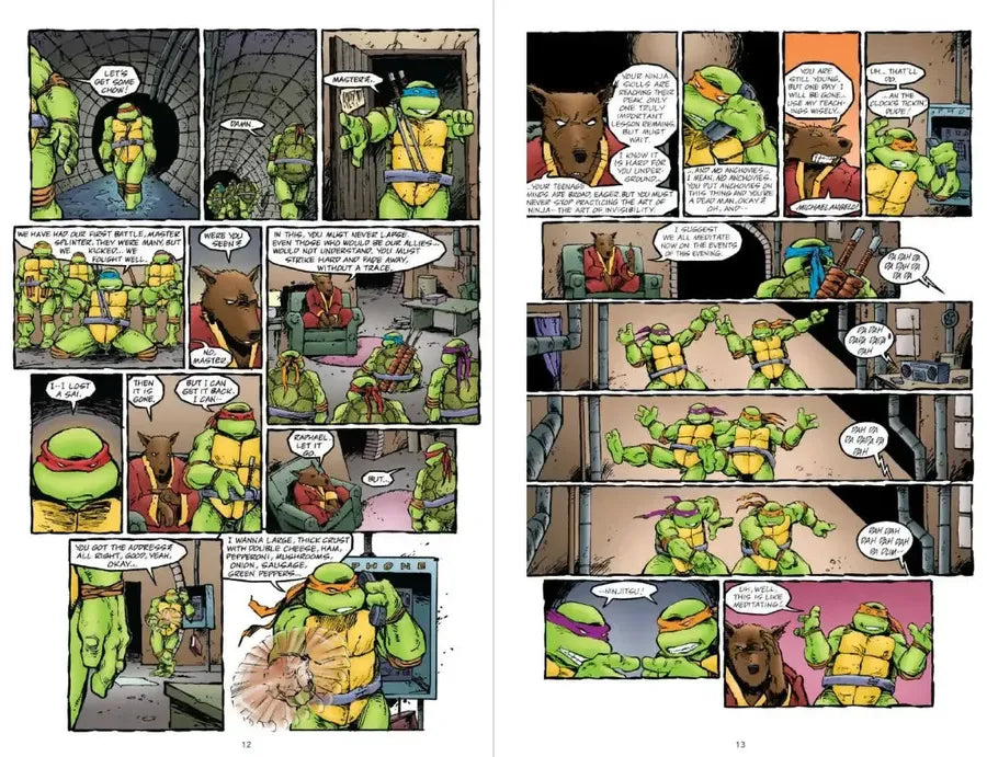 Teenage Mutant Ninja Turtles Original Motion Picture Special Edition: 35th Anniversary US - Paperback / softback