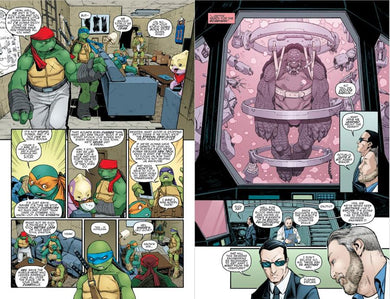 Teenage Mutant Ninja Turtles: The IDW Collection Volume 9