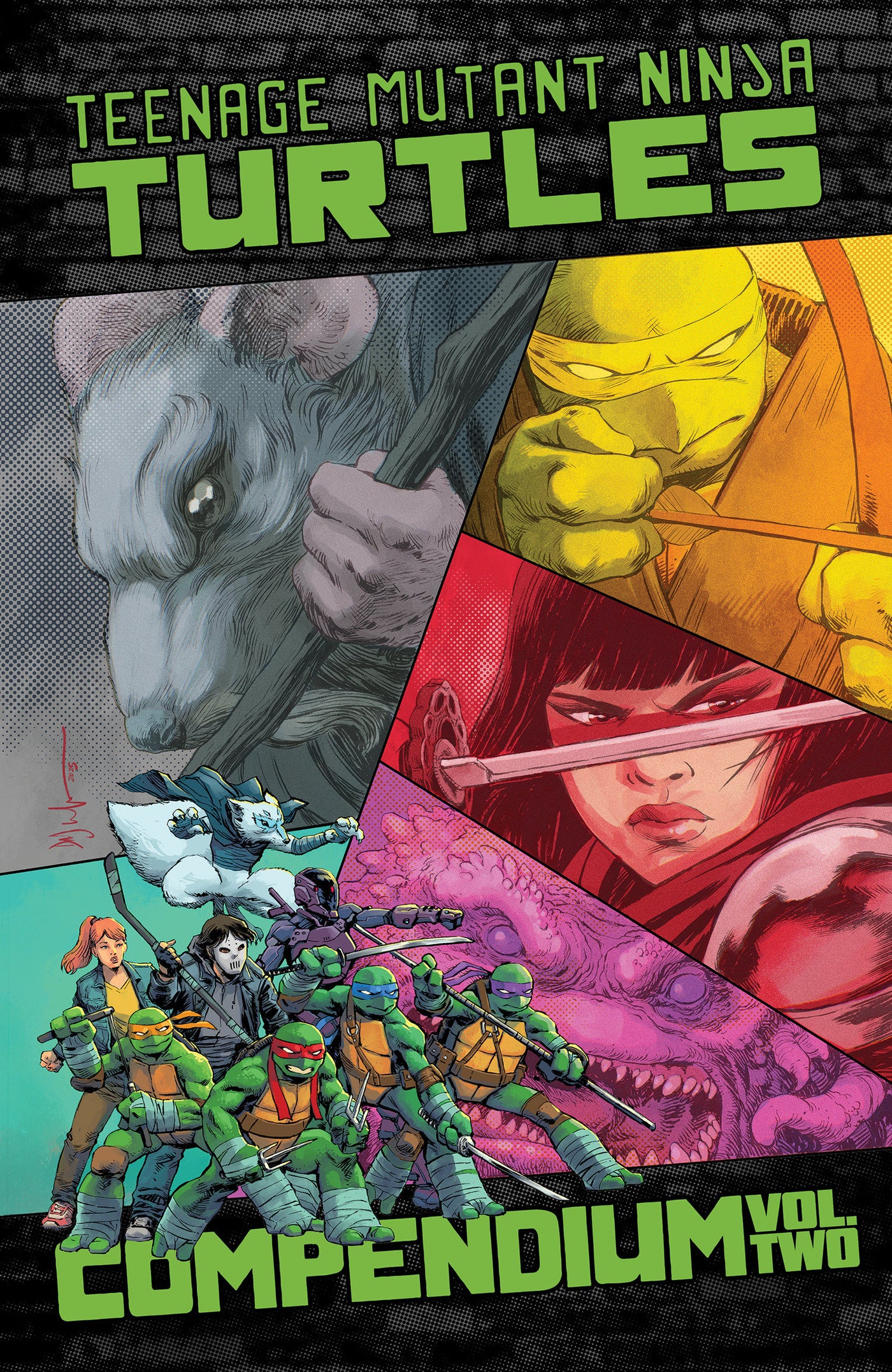 Teenage Mutant Ninja Turtles: Ongoing Compendium, Vol. 2-Graphic novel / Comic book / Manga: genres-買書書 BuyBookBook