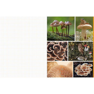 Cut and Collage Mushrooms and Fungi inside page 4
