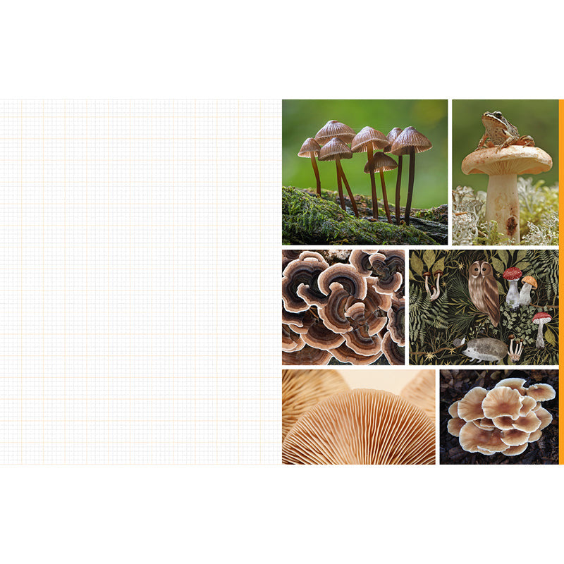 Cut and Collage Mushrooms and Fungi inside page 4