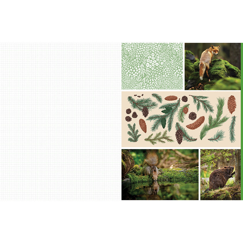 Cut and Collage Woodland Creatures inside page 3