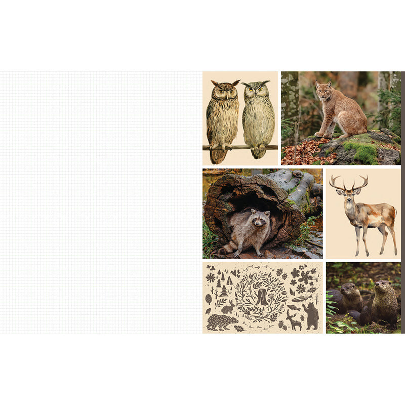 Cut and Collage Woodland Creatures inside page 5