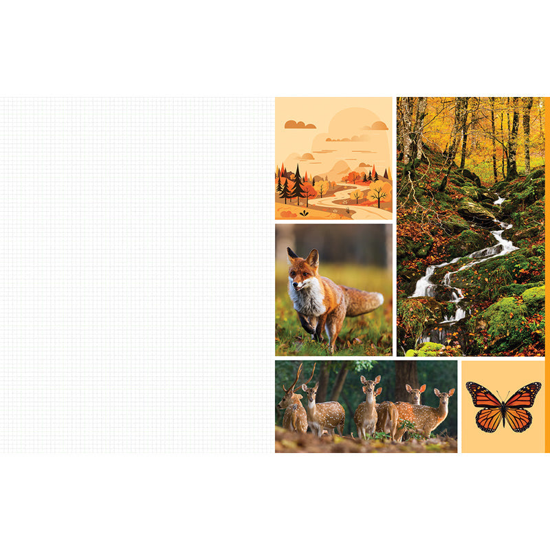 Cut and Collage Woodland Creatures inside page 7