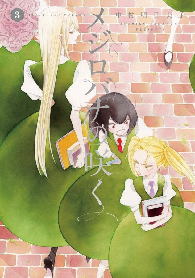 A White Rose in Bloom Vol. 3-Manga: Yuri-買書書 BuyBookBook