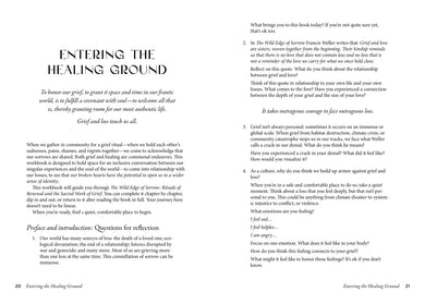 Entering the Healing Ground US - Paperback / softback