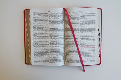 KJV Holy Bible, Large Print Medium format, Fuchsia Faux Leather w/Ribbon Marker, Red Letter, thumb Index US - Paperback / softback