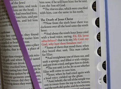 KJV Holy Bible, Large Print Medium Format, Lavender Faux Leather w/Thumb Index and Ribbon Marker, Red Letter US - Paperback / softback