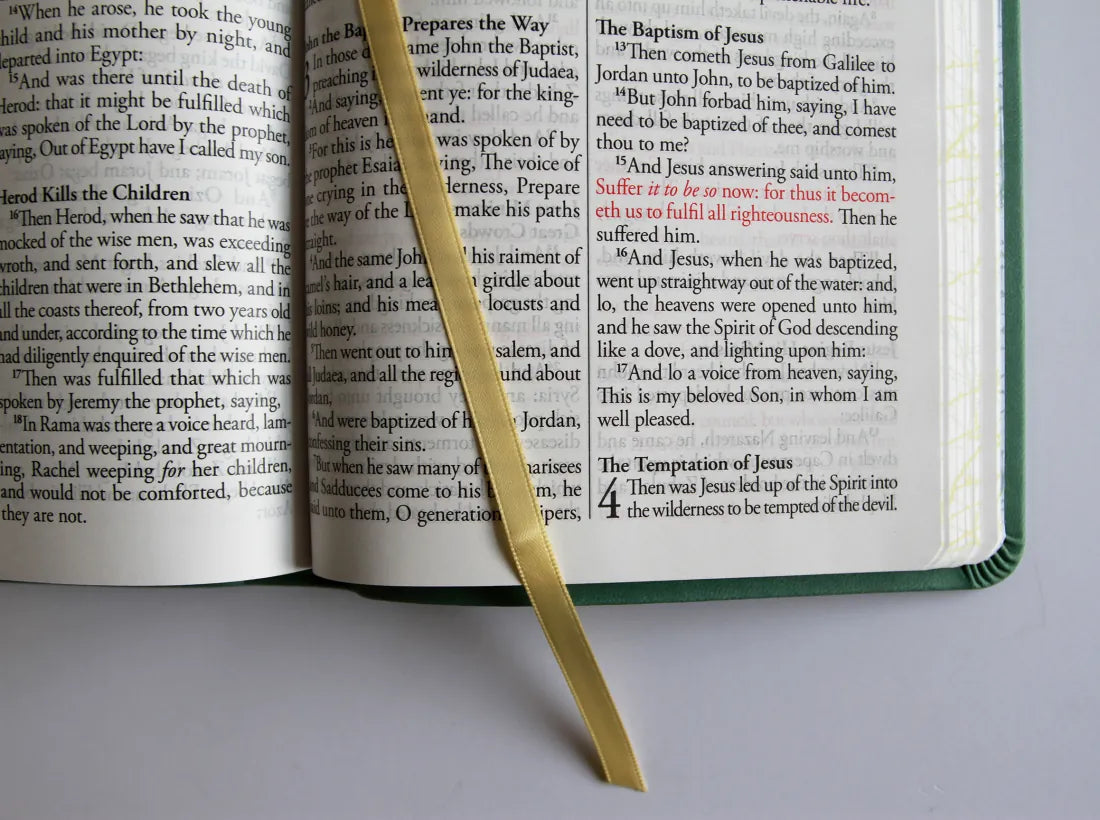 KJV Holy Bible, Large Print Medium Format, Green with Birds Faux Leather w/ Ribbon Marker, Red Letter US - Paperback / softback