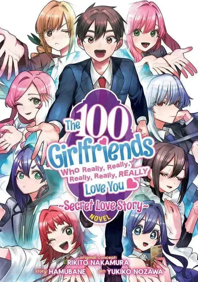The 100 Girlfriends Who Really, Really, Really, Really, Really Love You: Secret Love Story (Light Novel)
