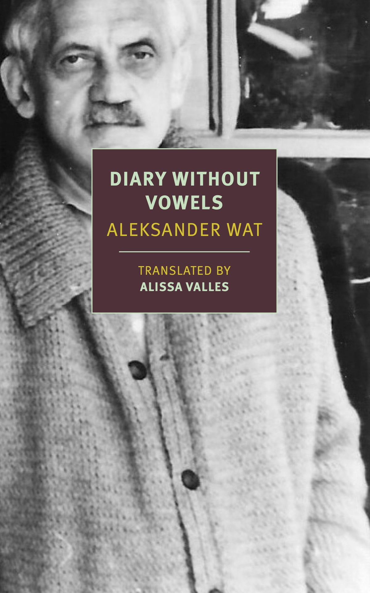 Diary Without Vowels