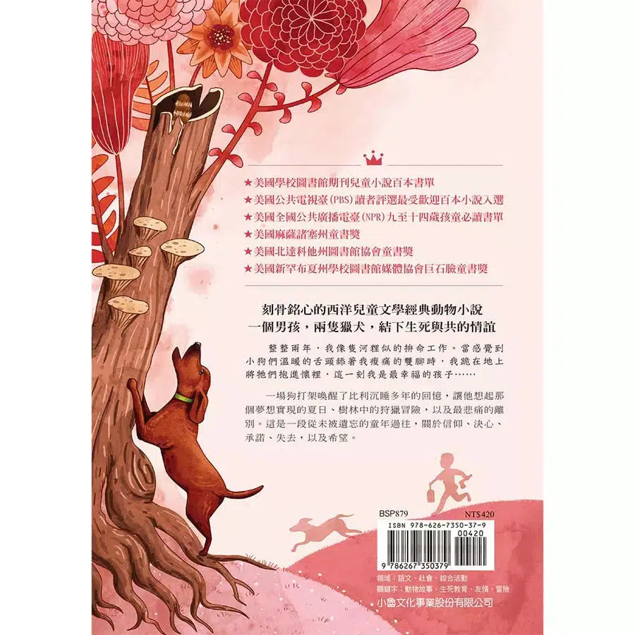 紅色羊齒草的故鄉★美國學校圖書館期刊兒童小說百本書單-故事: 經典傳統 Classic & Traditional-買書書 BuyBookBook