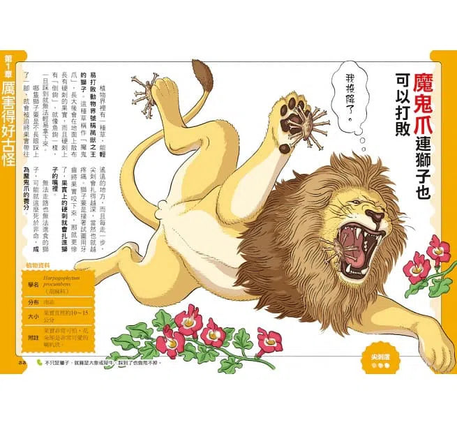 好奇孩子大探索:真的假的?原來植物這麼妙-非故事: 參考百科 Reference & Encyclopedia-買書書 BuyBookBook