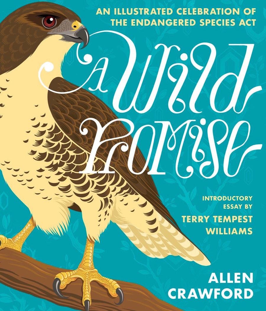 A Wild Promise-Art: general-買書書 BuyBookBook