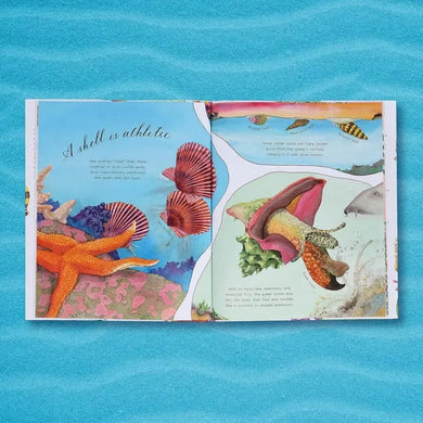 A Shell Is Cozy-Children’s / Teenage: Other general interest-買書書 BuyBookBook