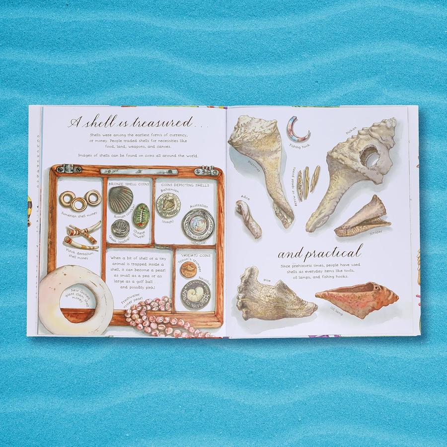 A Shell Is Cozy-Children’s / Teenage: Other general interest-買書書 BuyBookBook