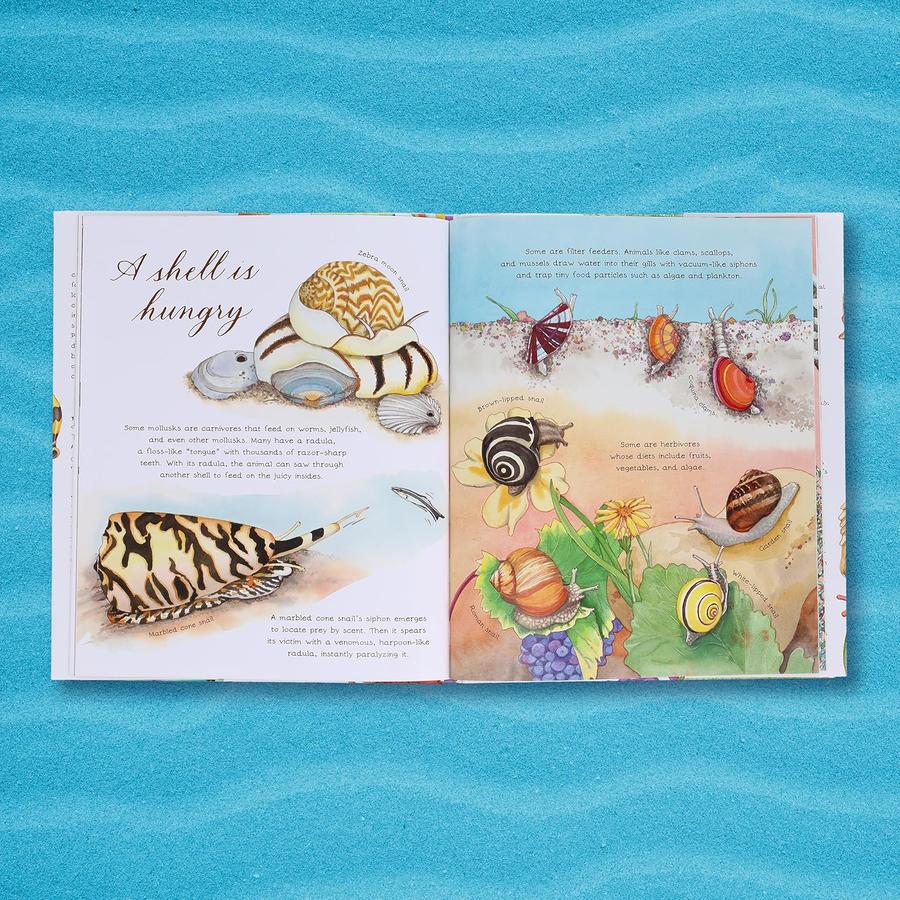 A Shell Is Cozy-Children’s / Teenage: Other general interest-買書書 BuyBookBook