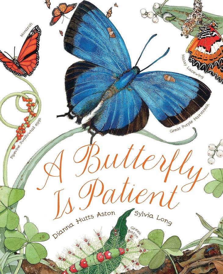 A Butterfly Is Patient-Children’s / Teenage general interest: Nature and animals-買書書 BuyBookBook