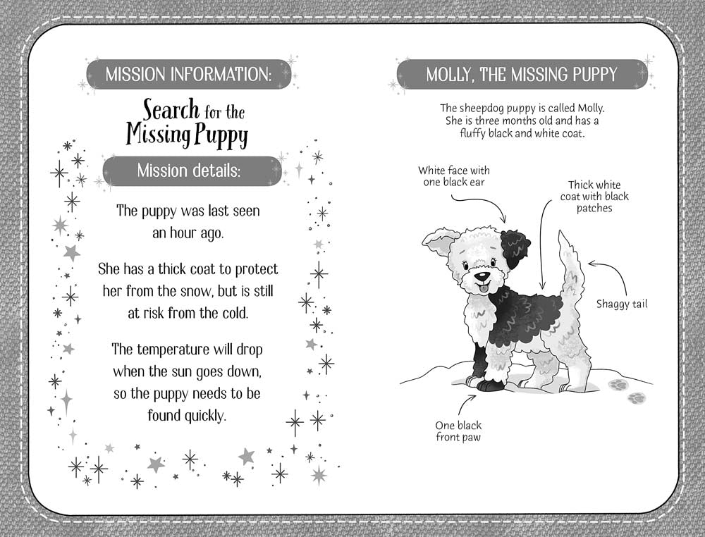 A Sticker Dolly Story: Snow Puppy (Zanna Davidson) (with Stickers)-Fiction: 歷險科幻 Adventure & Science Fiction-買書書 BuyBookBook