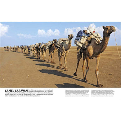 Visual Encyclopedia to Every Vehicle, A - Cars, Trains, Ships and Planes DK UK