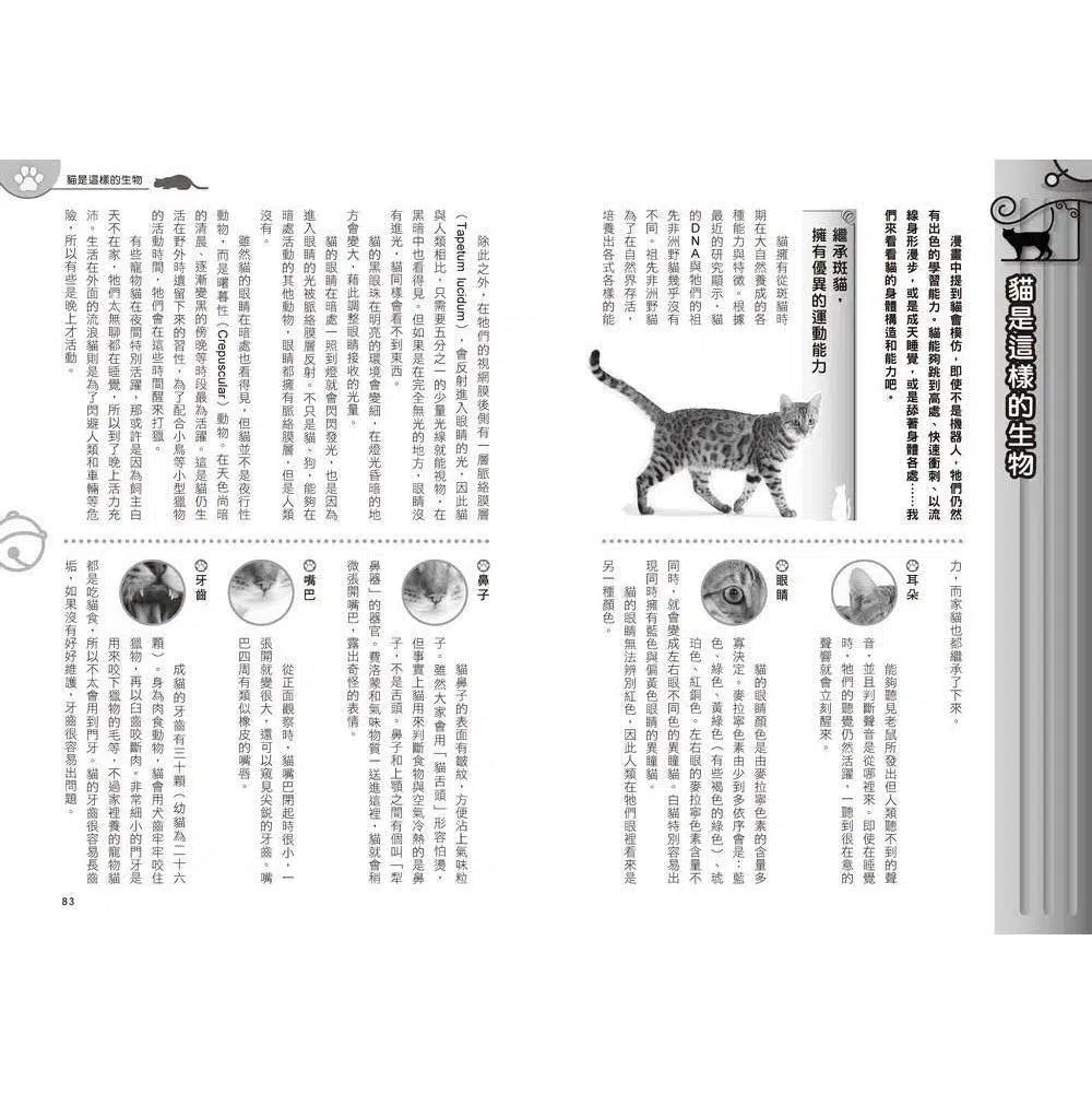 哆啦A夢知識大探索#01 百變貓咪召喚機 (藤子·F·不二雄)-非故事: 常識通識 General Knowledge-買書書 BuyBookBook