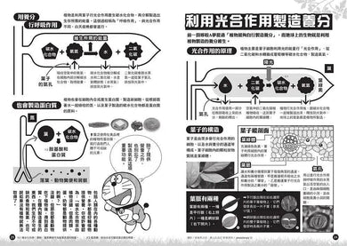 哆啦A夢科學大冒險