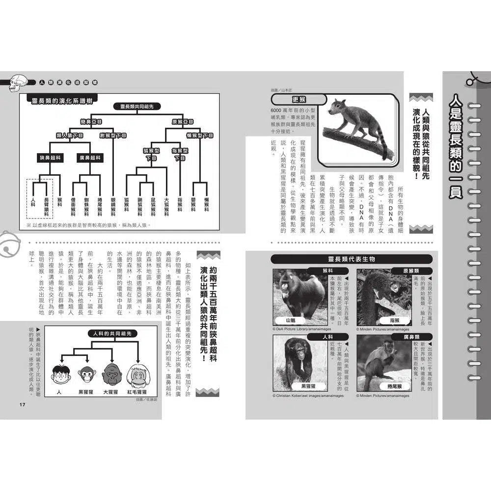 哆啦A夢科學任意門#19 人類演化追蹤槍 (藤子·F·不二雄)-非故事: 科學科技 Science & Technology-買書書 BuyBookBook