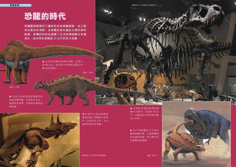 哆啦A夢科學任意門#01 恐龍時代通行證 (藤子·F·不二雄)-非故事: 科學科技 Science & Technology-買書書 BuyBookBook