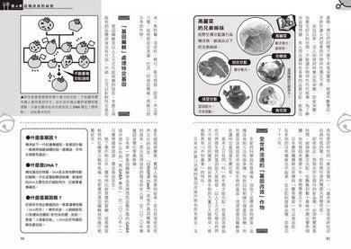 哆啦A夢知識大探索