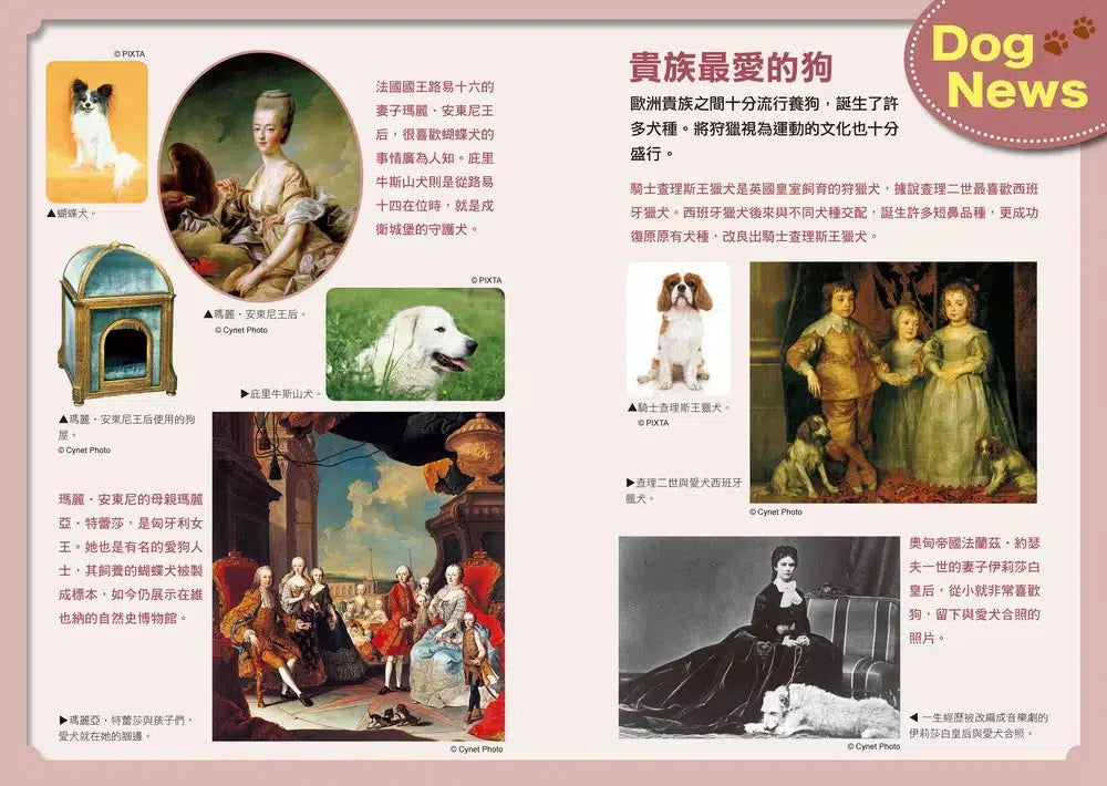 哆啦A夢知識大探索#09 汪星人呼喚項圈 (藤子・F・不二雄)-非故事: 動物植物 Animal & Plant-買書書 BuyBookBook