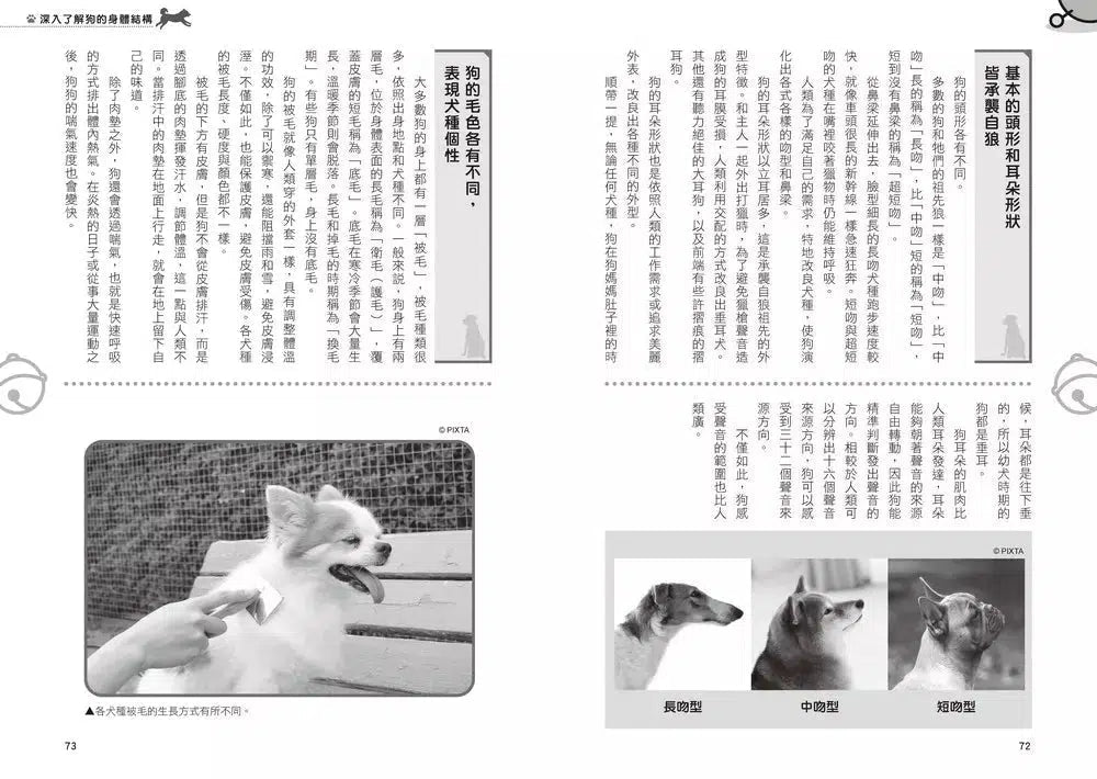 哆啦A夢知識大探索#09 汪星人呼喚項圈 (藤子・F・不二雄)-非故事: 動物植物 Animal & Plant-買書書 BuyBookBook