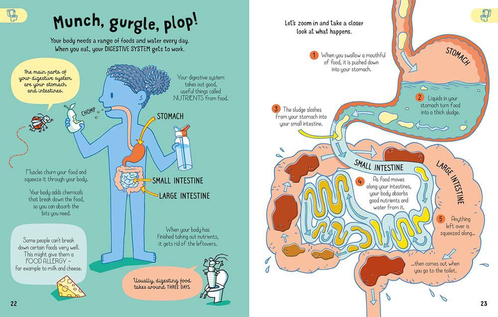 All You Need to Know about Your Body by Age 7 (Alice James)-Nonfiction: 常識通識 General Knowledge-買書書 BuyBookBook
