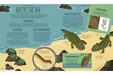 Amazing Evolution-Nonfiction: 動物植物 Animal & Plant-買書書 BuyBookBook