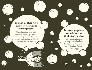 Amazing Facts Every 10 Year Old Needs to Know (Clive Gifford)-Nonfiction: 科學科技 Science & Technology-買書書 BuyBookBook