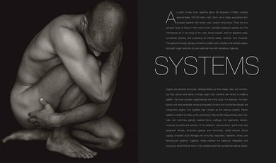 Anatomy for the Artist (Hardback) DK UK